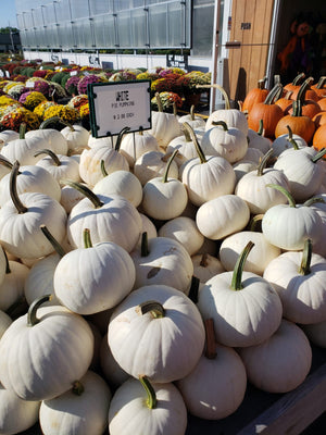 Pumpkin Butter